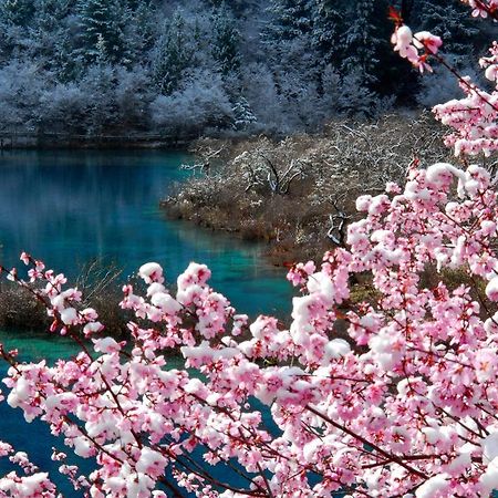Sheraton Jiuzhaigou Resort Екстериор снимка