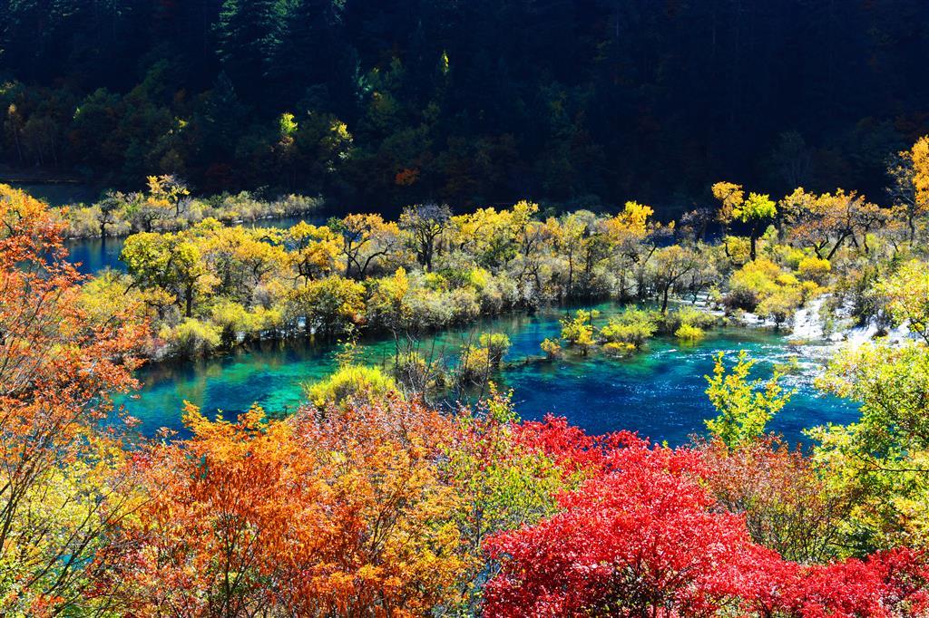 Sheraton Jiuzhaigou Resort Съоръжения снимка