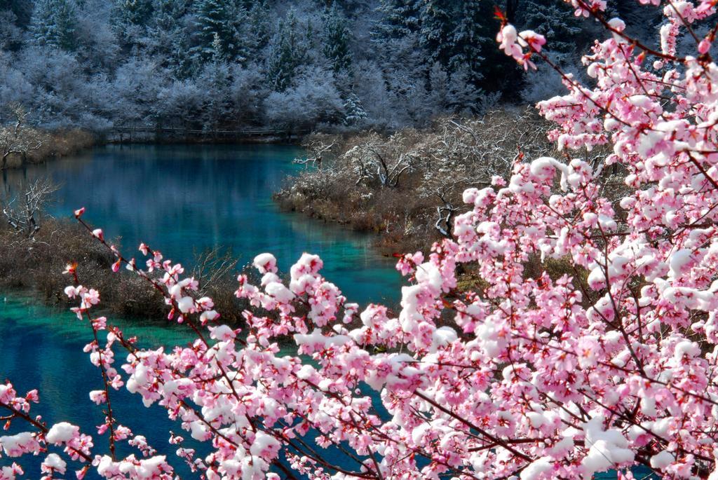Sheraton Jiuzhaigou Resort Екстериор снимка